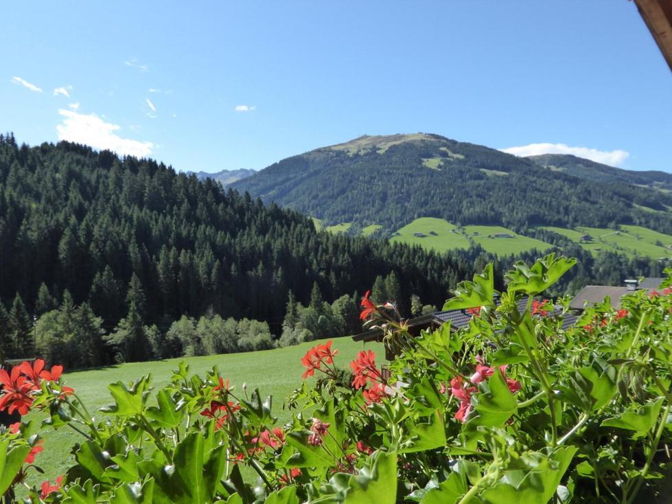 Alpbacher Appartementhaus Johannes Exteriér fotografie